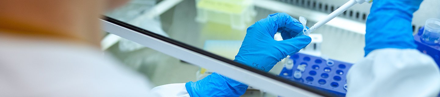 Ein Wissenschaftler mit blauen Handschuhen arbeitet an einer Sterilbank und pipetiert eine Flüssigkeit in ein Reaktionsgefäß.