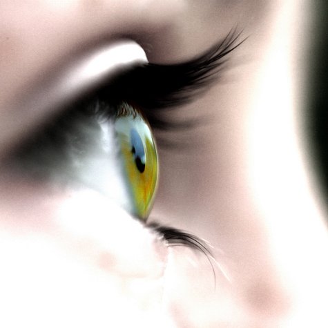 Nahaufnahme Seitenansicht eines grünen Auges
