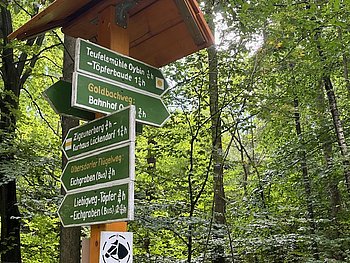 Spaziergang im Wald