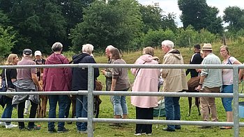 Gruppe auf der Weide