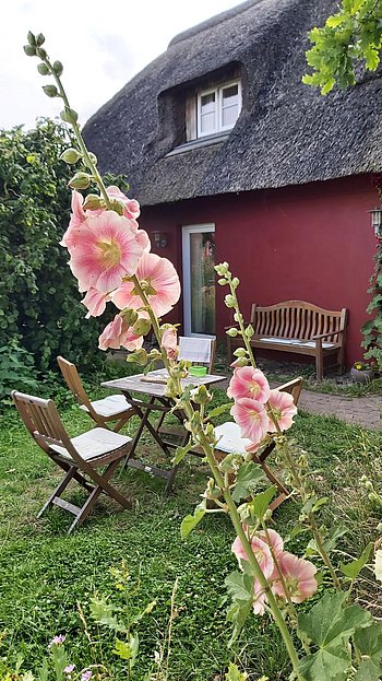auf der winzigen Insel Oland