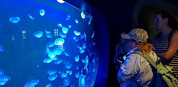 Lisa und Linda vor dem Aquarium mit leuchtenden Quallen