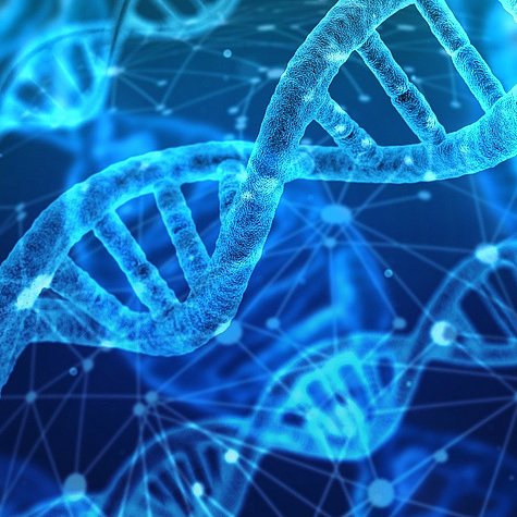 zwei DNA Helix Stränge vor einem blauen Hintergrund