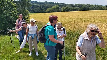 Wir wandern bei schönstem Wetter an einem Gerstenfeld entlang
