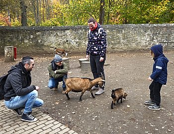Streichelzoo mit Ziegen