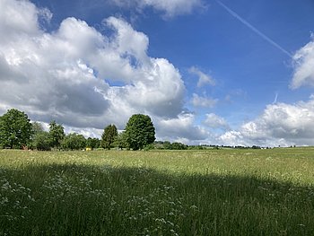 Foto zeigt offene Landschaft mit blauem Himmel und weißen Wolken