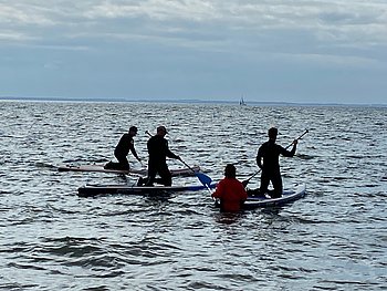 Zu sehen sind drei Teilnehmer beim Stand-Up-Paddling. Die Teilnehmer knien jeweils auf ihren Brettern und paddeln.