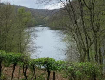Foto von einem See in der Natur, aufgenommen auf einer Wanderung der Gruppe