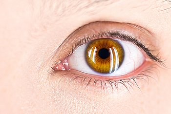 Auge mit brauner Iris