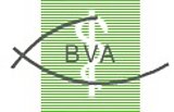 Logo: Berufsverband der Augenärzte Deutschlands e.V.