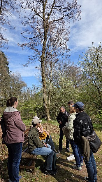 Rast im Wald