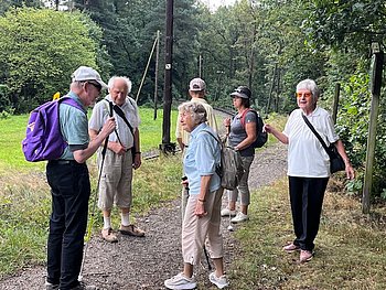 Spaziergang im Wald