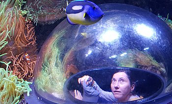 Foto in Fischaugenoptik: Kati schaut ins Aquarium