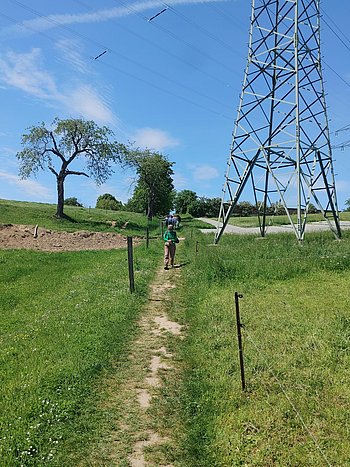 Blauer Himmel und grüne Wiesen