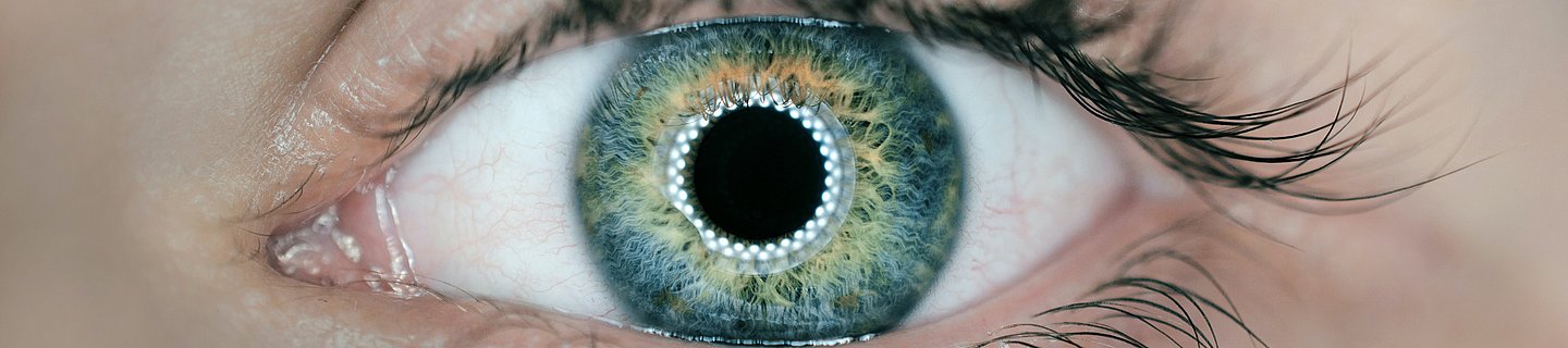 Eine Frontalaufnahme eines weiblichen Auges. Die Iris ist grün