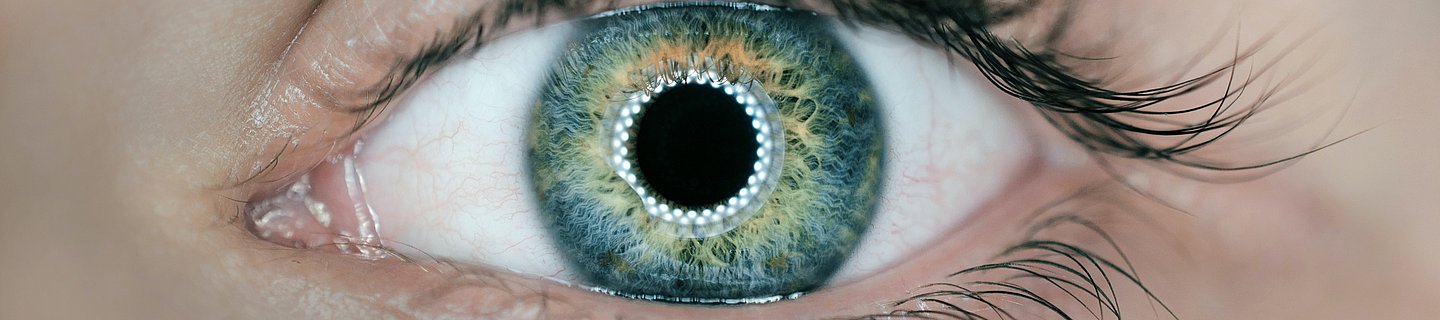 Eine Frontalaufnahme eines weiblichen Auges. Die Iris ist grün.