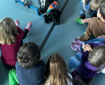 Auf dem Bild sieht man Grundschulkinder, die um Blindenführhund Anton herum sitzen, der entspannt auf dem Boden lliegt.