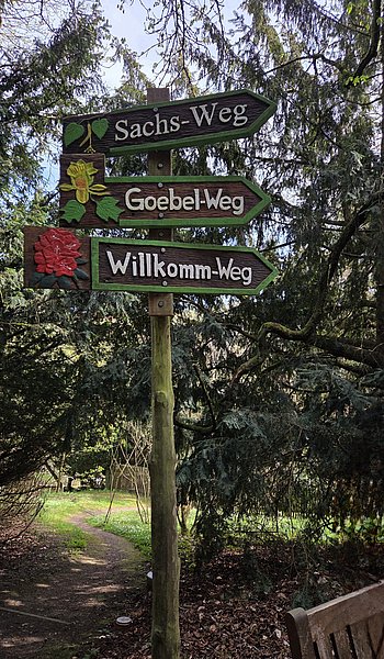 Hübsch gestaltete, geschnitzte Wegweiser im botanischen Garten