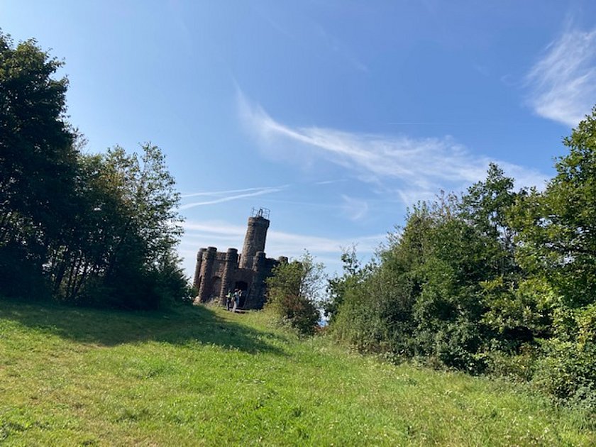 Eine Wiese, am Ende steht eine Burg