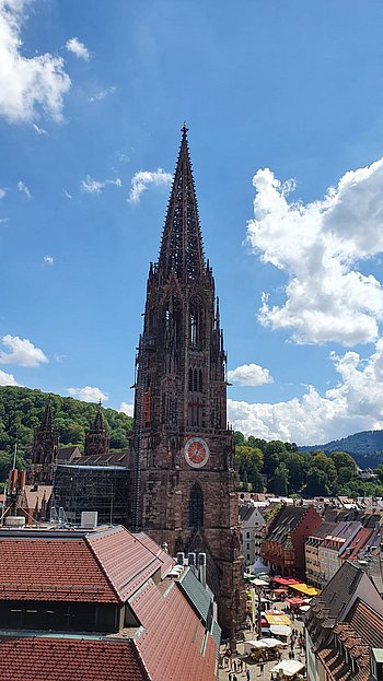 Blick auf das Freiburger Münster