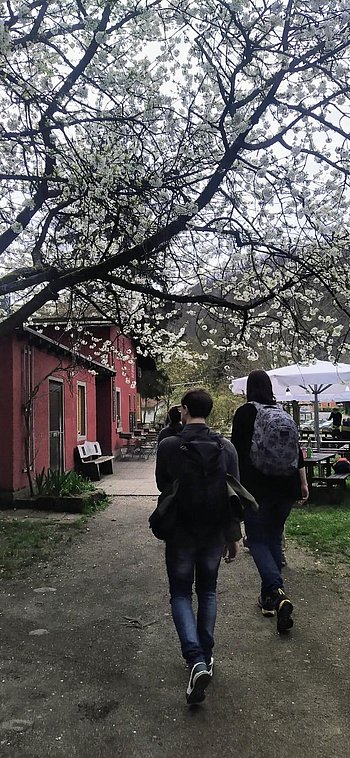 Kirschblüte am Bahnwärterhäuschen