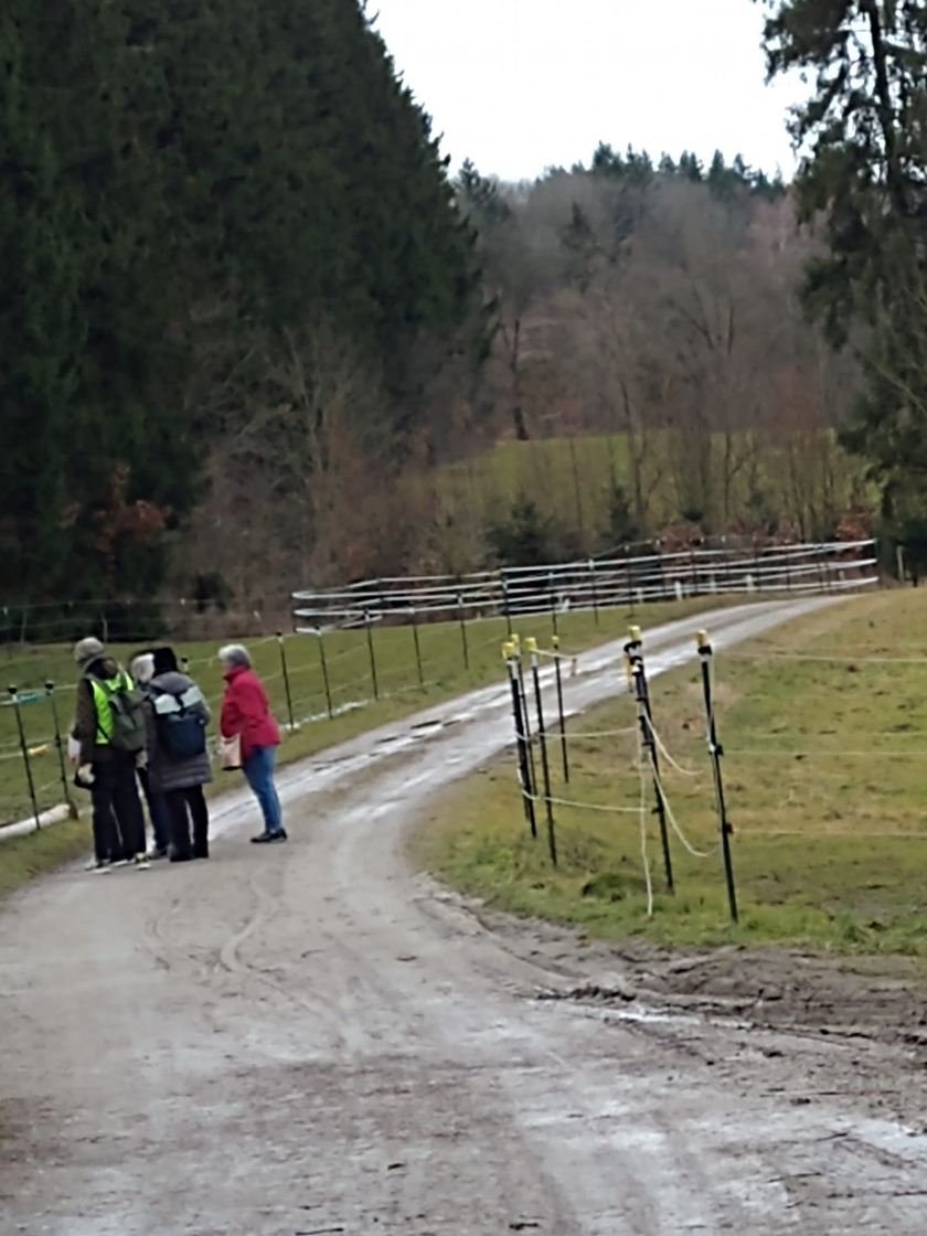 Thomas, Marion und Margit am Pferdegatter