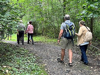 Spaziergang im Wald