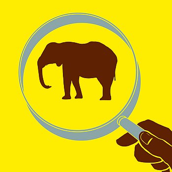 Illustration in gelb und braun: Eine Hand hält eine Lupe, unter der ein Elefant zu sehen ist.